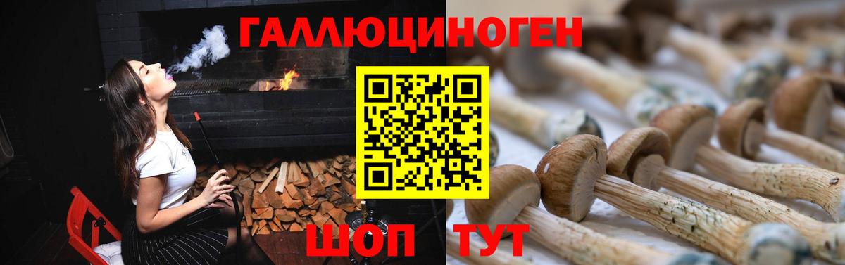 Галлюциногенные грибы GOLDEN TEACHER  Вход с VPN  Кумертау 